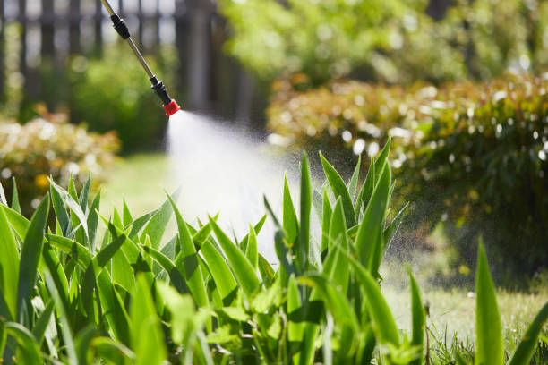Void Injection for Cockroach Colonies in Pleasant Garden